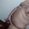 foto do perfil erbi